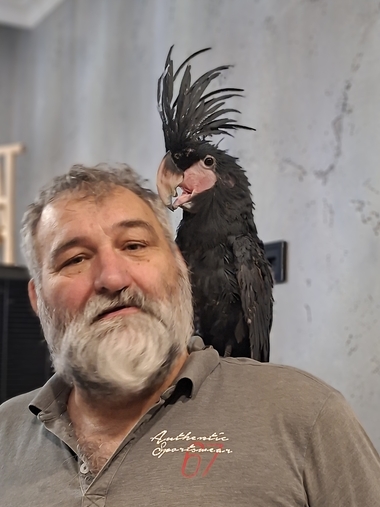 Вашему попугаю стало плохо в другой клинике? Приезжайте к нам на лечение!